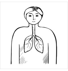 Human lungs black and white simple Royalty Free Vector Image