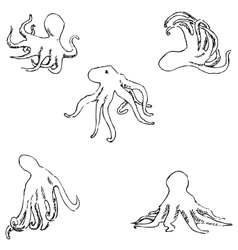Pencil Octopus Drawings Vector Images 70