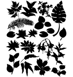 Lily Silhouette Vector Images (over 5,800)