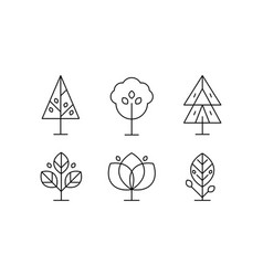 collection of trees in linear style decorative vector image