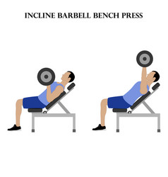 Incline barbell bench press workout exercise Vector Image