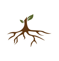 Tree Trunk Logo Vector Images Over 5 700