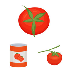 Tomate Vector Images Over 680
