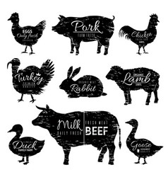 Icons on vintage background pig cow sheep goat Vector Image