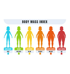 Female body mass index normal weight obesity and Vector Image