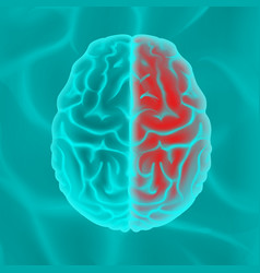 Pink human brain side view close up Royalty Free Vector