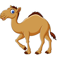 Cute Camel Cartoon Royalty Free Vector Image - Vectorstock