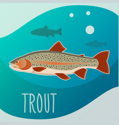 Sea Trout Vector Images Over 3 800