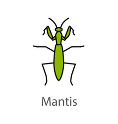 Mantis Vector Images (over 1,600)