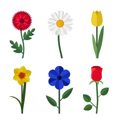 Set of flower flat flowers icons Royalty Free Vector Image