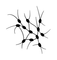 Lymph nodes concept Royalty Free Vector Image - VectorStock