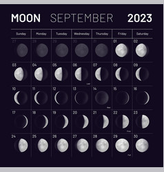 Moon phases calendar Royalty Free Vector Image