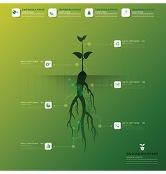 Tree and root infographic design template Vector Image