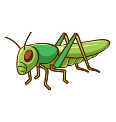 Cartoon grasshopper isolated on white background Vector Image