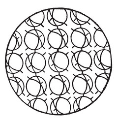 molecules solid vector images over 210
