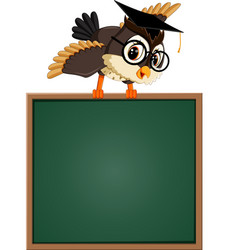 Owl teacher at blackboard Royalty Free Vector Image