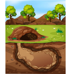 Underground animal hole with many snakes Vector Image