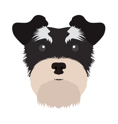 Schnauzer Vector Images (over 580)