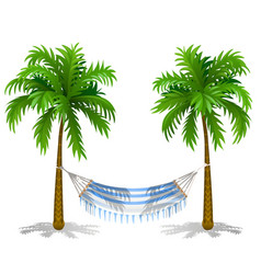 Hammock and palm trees drawing Royalty Free Vector Image