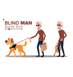 Blind old woman with dark glasses cane in hand Vector Image