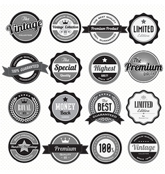 Set of retro vintage badges and labels eps10 Vector Image