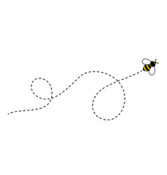 Bee fly on dotted route bumblebee flying Vector Image