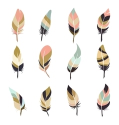 Set of abstract boho feathers on a white Vector Image