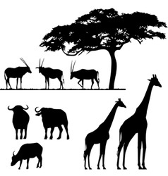 African animals giraffe silhouettes Royalty Free Vector