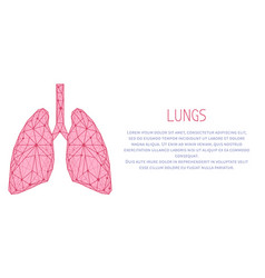 Human lungs anatomy structure 3d icon Royalty Free Vector