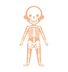 Boy Body Anatomy With Respiratory System Vector Image