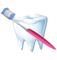 A toothbrush Royalty Free Vector Image - VectorStock