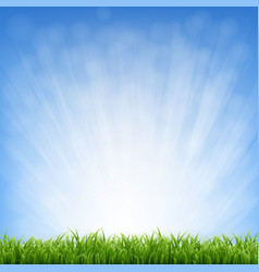 Nature green background with bokeh and grass Vector Image