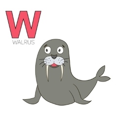 Walrus w letter cute children animal alphabet Vector Image