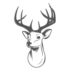 Deer head silhouette isolated on white background Vector Image