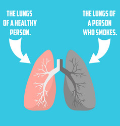 Normal lung and lung cancer Royalty Free Vector Image