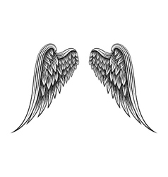 Hand drawn angel wings on chalkboard Royalty Free Vector