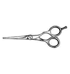 Hair Vector Images (over 260,000)