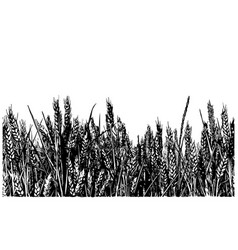 Wheat field background Royalty Free Vector Image
