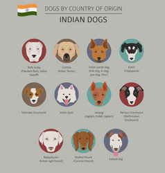 Dogs country origin indian dog breeds Royalty Free Vector