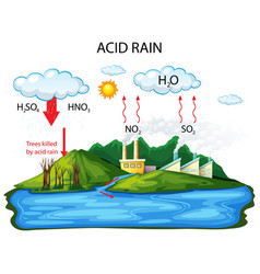 Diagram showing acid rain pathway Royalty Free Vector Image