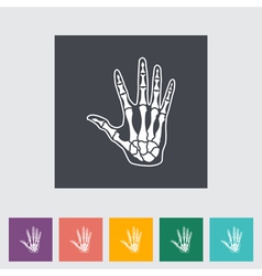 Human hands bones Royalty Free Vector Image - VectorStock