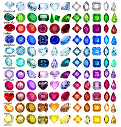 Cut precious gem stones set Royalty Free Vector Image