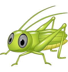 Grasshopper Vector Images (over 1,600)