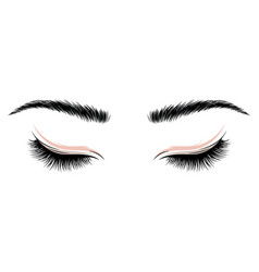 Eyes with long eyes lashes Royalty Free Vector Image