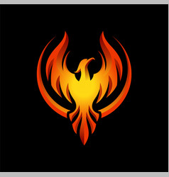 Modern flaming phoenix logo designs template Vector Image