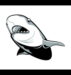 Shark diver Royalty Free Vector Image - VectorStock