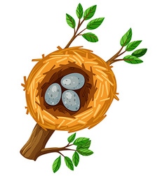 Nest with an egg Royalty Free Vector Image - VectorStock