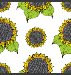 Flowers hand drawn sketch flower sunflower Vector Image