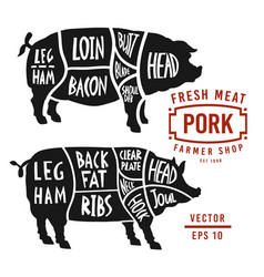 American US cuts of pork Royalty Free Vector Image