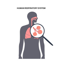 Human respiratory system Royalty Free Vector Image